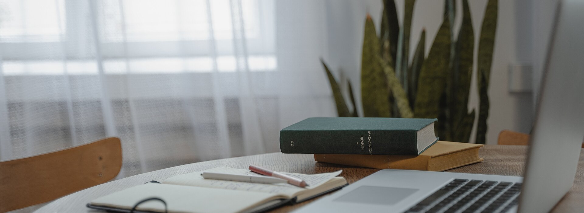 A imagem mostra uma planta ao fundo, uma mesa no primeiro plano, com um notebook, livros e um caderno com uma caneta. A foto é clara, pois tem uma janela no fundo. 