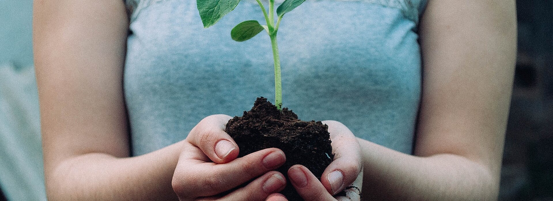 13 Dicas para Cuidar do Planeta no Dia da Terra - Blog INSPIRA(TE